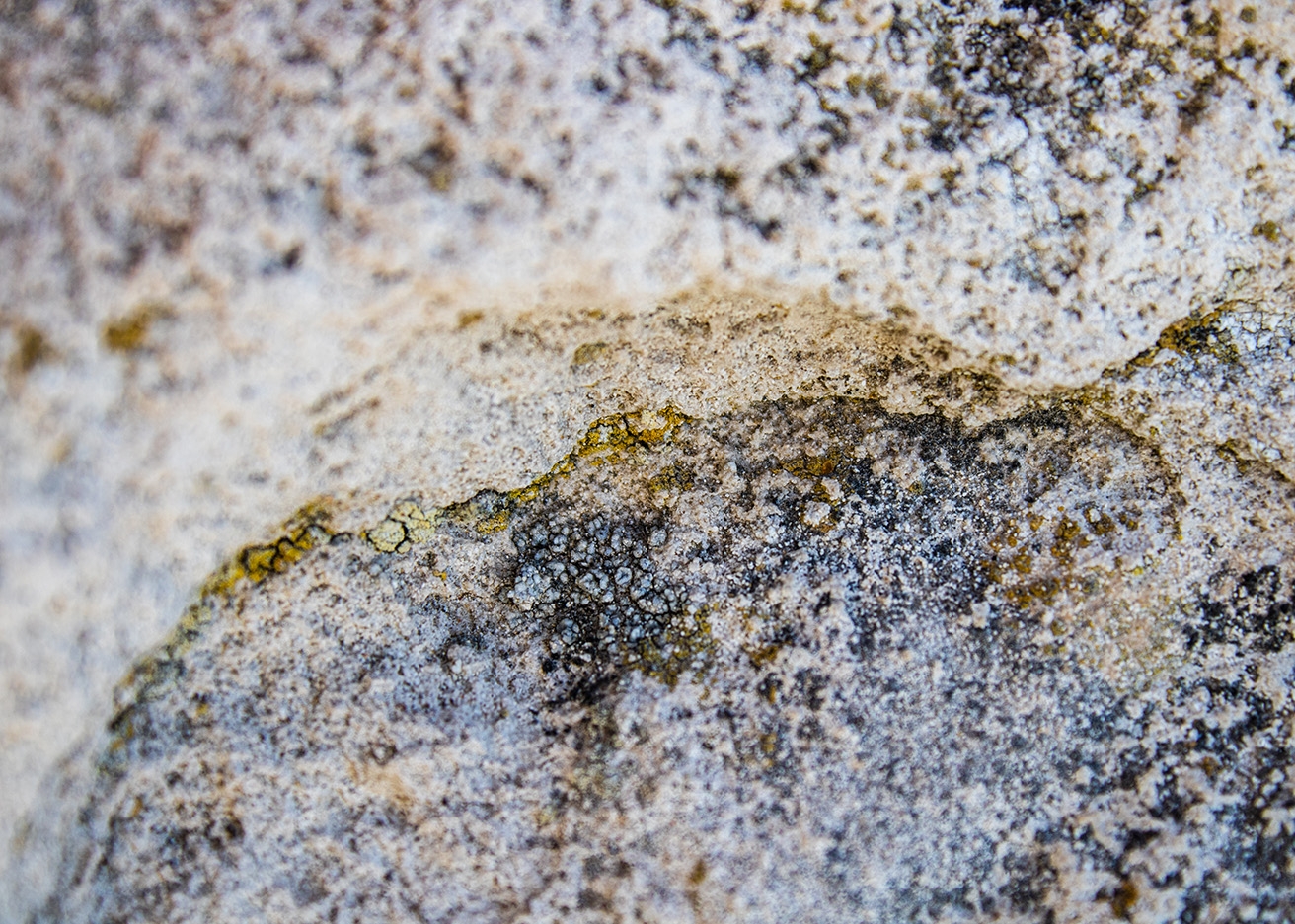 Calcareous rock and lichen deposits